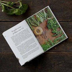 HAVENS KRYDDERURTER af Lene Tvedegaard og Gunvor Maria Juul, bog