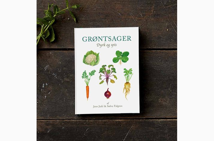 Grntsager - Dyrk og spis af Jens Juhl og Slva Falgren, bog