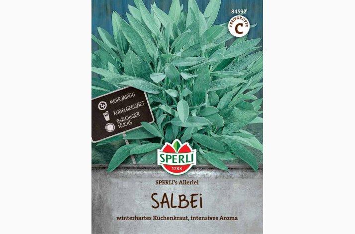 Almindelig Salvie � Salvia officinalis �Sperli�s Allerlei� � Fr� (r�kker til ca. 60 planter)