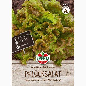 Amerikanischer brauner - Pluksalat