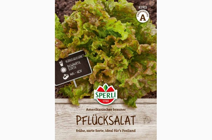 Amerikanischer brauner - Pluksalat