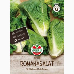 Romainesalat �Xanadu� � Lactuca sativa var. longifolia � Fr�
