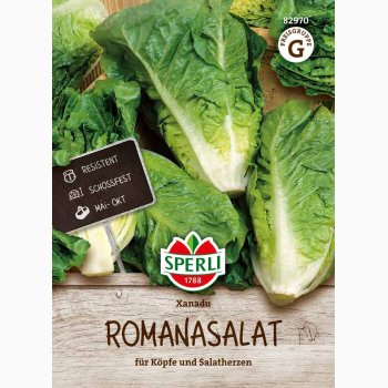 Romainesalat �Xanadu� � Lactuca sativa var. longifolia � Fr�