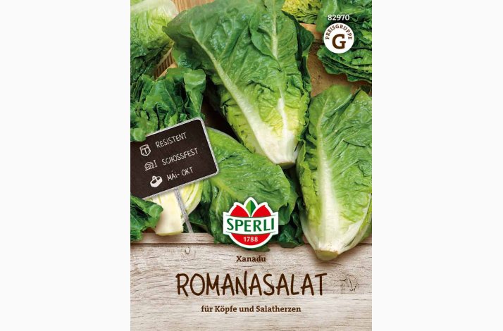 Romainesalat �Xanadu� � Lactuca sativa var. longifolia � Fr�