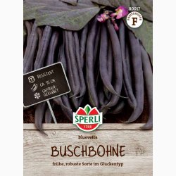 Buskb�nne �Bluevetta� � Phaseolus vulgaris � Fr� ( r�kker til 3-4 meter planter)