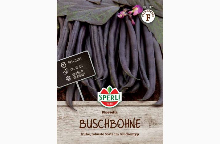 Buskb�nne �Bluevetta� � Phaseolus vulgaris � Fr� ( r�kker til 3-4 meter planter)