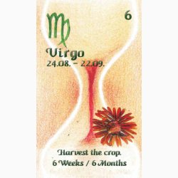 Orakelkort - CARDS OF TIME - Wulfing von Rohr &amp; Marlena Lewandoska