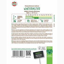 Chrysanthemum Indicum SPERLIs Miks - Krysantemum - Vinterasters