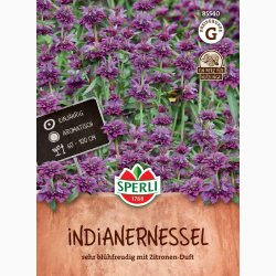 Citronmonarda (Indianern�lde) � Fr� (r�kker til ca. 200 planter)