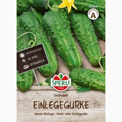 Sylte-, salatagurk � Cucumis sativus �Delikateߒ � Fr� (r�kker til ca. 40 planter)