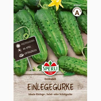 Sylte-, salatagurk � Cucumis sativus �Delikateߒ � Fr� (r�kker til ca. 40 planter)
