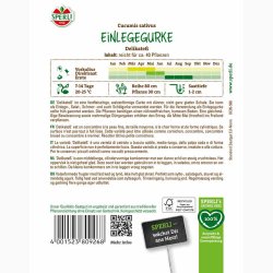Sylte-, salatagurk � Cucumis sativus �Delikateߒ � Fr� (r�kker til ca. 40 planter)
