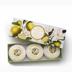 Fast h�nds�be gave�ske � Bergamot &amp; Gardenia � 3�100 g � Fiorentino