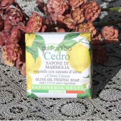 Fast vegetabilsk h�nds�be � Cedro &amp; Citrus / Cedrat &amp; Citrus � 100 g | Nesti Dante