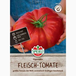 B�ftomat �Gigantomo� F1 � Fr� til k�mpestore tomater - Fr� (r�kker til ca. 7 planter)