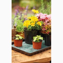 Vandingsmtte  Kapillrmtter (5 stk. i pakke)