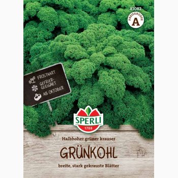Grnklfr Brassica oleracea Halbhoher grner krauser - Grnkl