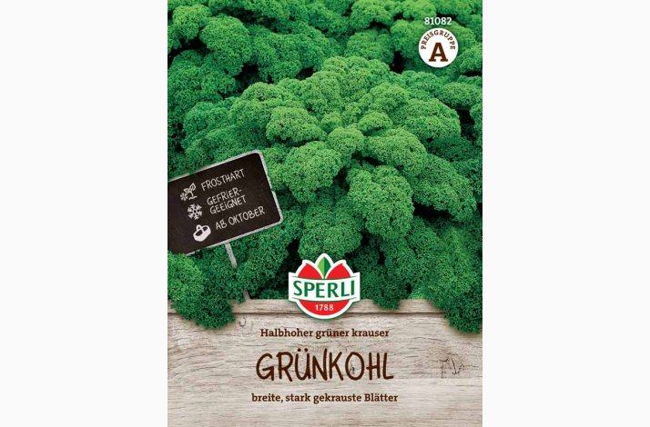 Grnklfr Brassica oleracea Halbhoher grner krauser - Grnkl