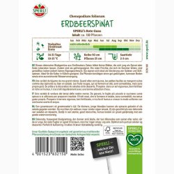 Jordb�rspinat �  �SPERLI's Rote Gans� � Fr� (r�kker til ca. 100 planter)