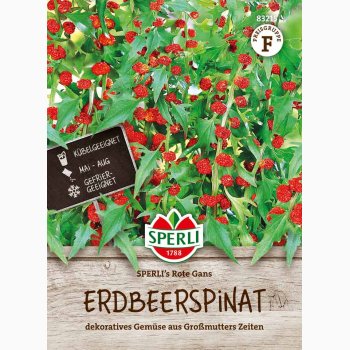 Jordb�rspinat �  �SPERLI's Rote Gans� � Fr� (r�kker til ca. 100 planter)