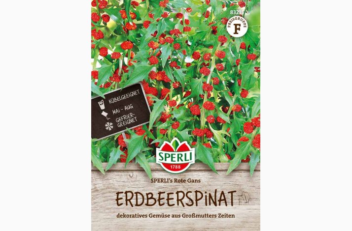 Jordb�rspinat �  �SPERLI's Rote Gans� � Fr� (r�kker til ca. 100 planter)