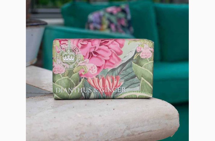 Fast h�nds�be Dianthus &amp; Ginger � 240 g | Kew Gardens 