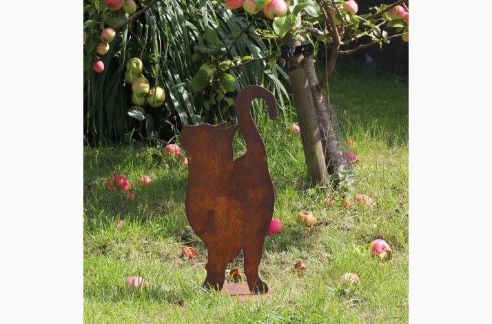 Kat som kigger op p plade i jern med rustrd patina H:46 cm