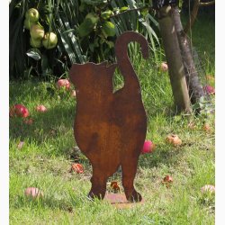 Kat som kigger op p plade i jern med rustrd patina H:46 cm