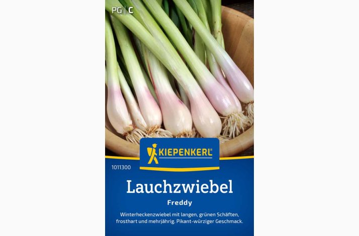 Pibel�g �Freddy� � Allium fistulosum � Fr� (r�kker til ca. 5-6 meter)