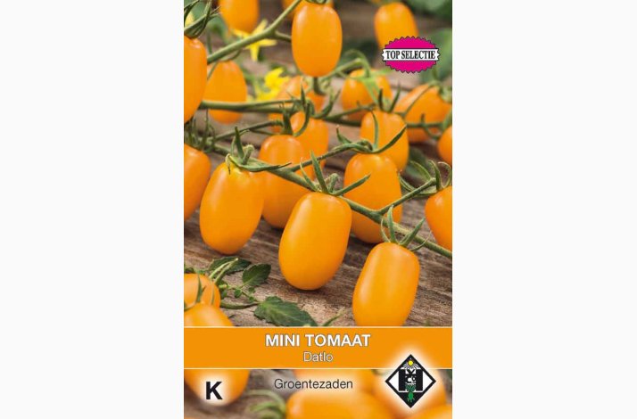 Minitomat � Lycopersicon esculentum �Datlo� � Fr� (50 stk)