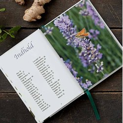 MIT GRNNE APOTEK - Naturens lgeurter af AneMette Olesen, bog