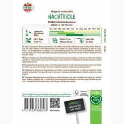 Natviol � Hesperis matronalis �Nachtviole� � Fr� (r�kker til ca. 100 planter)