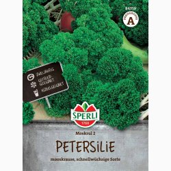 Kruspersille �Moskrul 2� � Petroselinum crispum � Fr� (r�kker til ca. 295 planter)