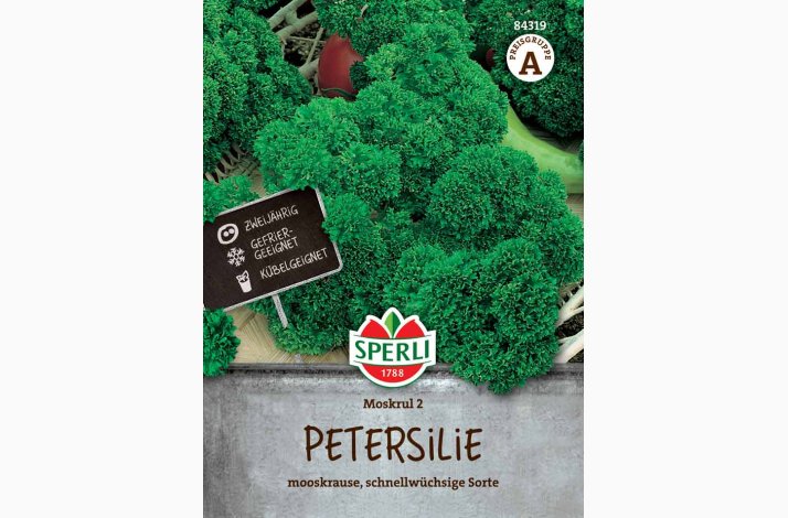 Kruspersille �Moskrul 2� � Petroselinum crispum � Fr� (r�kker til ca. 295 planter)