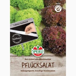 Pluksalat � Lollo Rossa &amp; Lollo Bionda S�b�nd � Fr� (r�kker til ca. 5 meter)