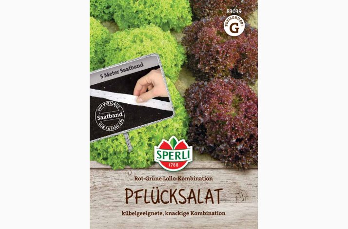 Pluksalat � Lollo Rossa &amp; Lollo Bionda S�b�nd � Fr� (r�kker til ca. 5 meter)