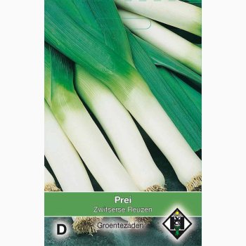 Sommerporre �Swiss Giant� (Allium porrum) � Fr�