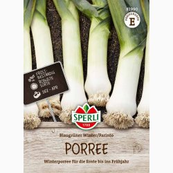 Porre �Farinto� (Blaugr�ner Winter / vinterporre) � Fr� (r�kker til ca. 70 planter)