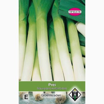 Porre Bl�gr�n Efter�r Porbella� (Allium porrum) � Fr�