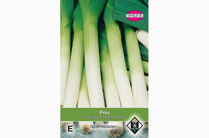 Porre Bl�gr�n Efter�r Porbella� (Allium porrum) � Fr�