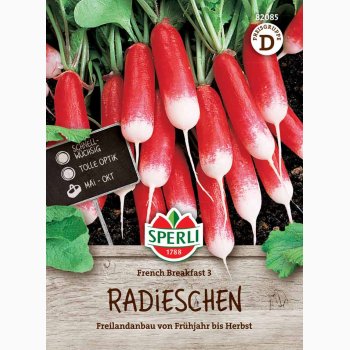 Radise �French Breakfast 3� � Raphanus sativus � Fr�