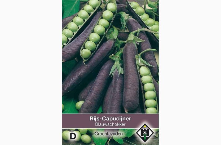Marv�rt � Pisum sativum �Blauwschokker� � Fr� (50 g) (H�jde, ca. 180 cm)