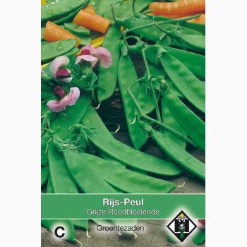 Sukker�rt �Grijze Roodbloeiende� (Gr�r�dblomstrende) � Fr� (50 g)