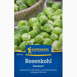 Rosenk�l � Brassica oleracea var. gemmifera �Roodnerf� � Fr� (r�kker til ca. 150 planter)