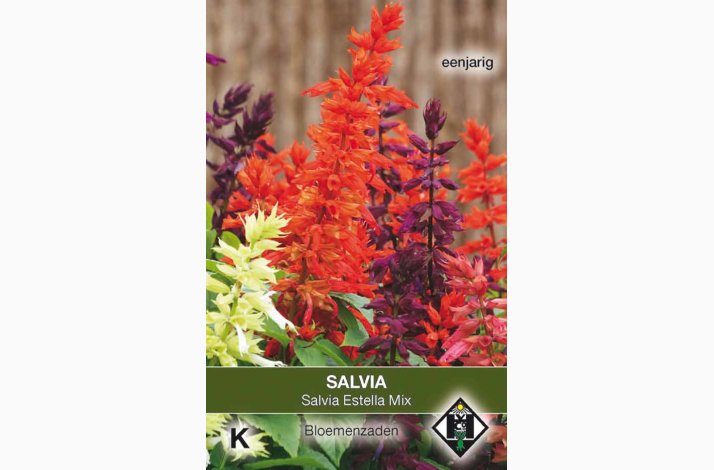 Salvie � Salvia splendens �Estella Mix� � Fr� (ca. 70 stk)