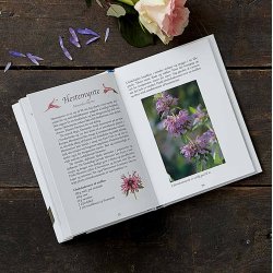 SPISELIGE BLOMSTER, 2. udgave - jenfryd og velsmag  af AneMette Olesen, bog