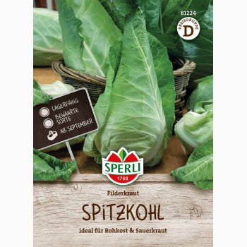Spidsk�l � Brassica oleracea var. capitata f. alba �Filderkraut� � Fr�