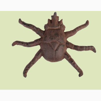 Vgkunst insekt i stbejern, vlg