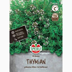 Timian � Thymus vulgaris �Di Roma� � Fr� (r�kker til ca. 100 planter)