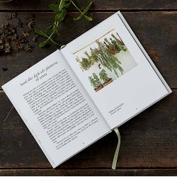 URTETE - fra natur og have af AneMette Olesen, bog